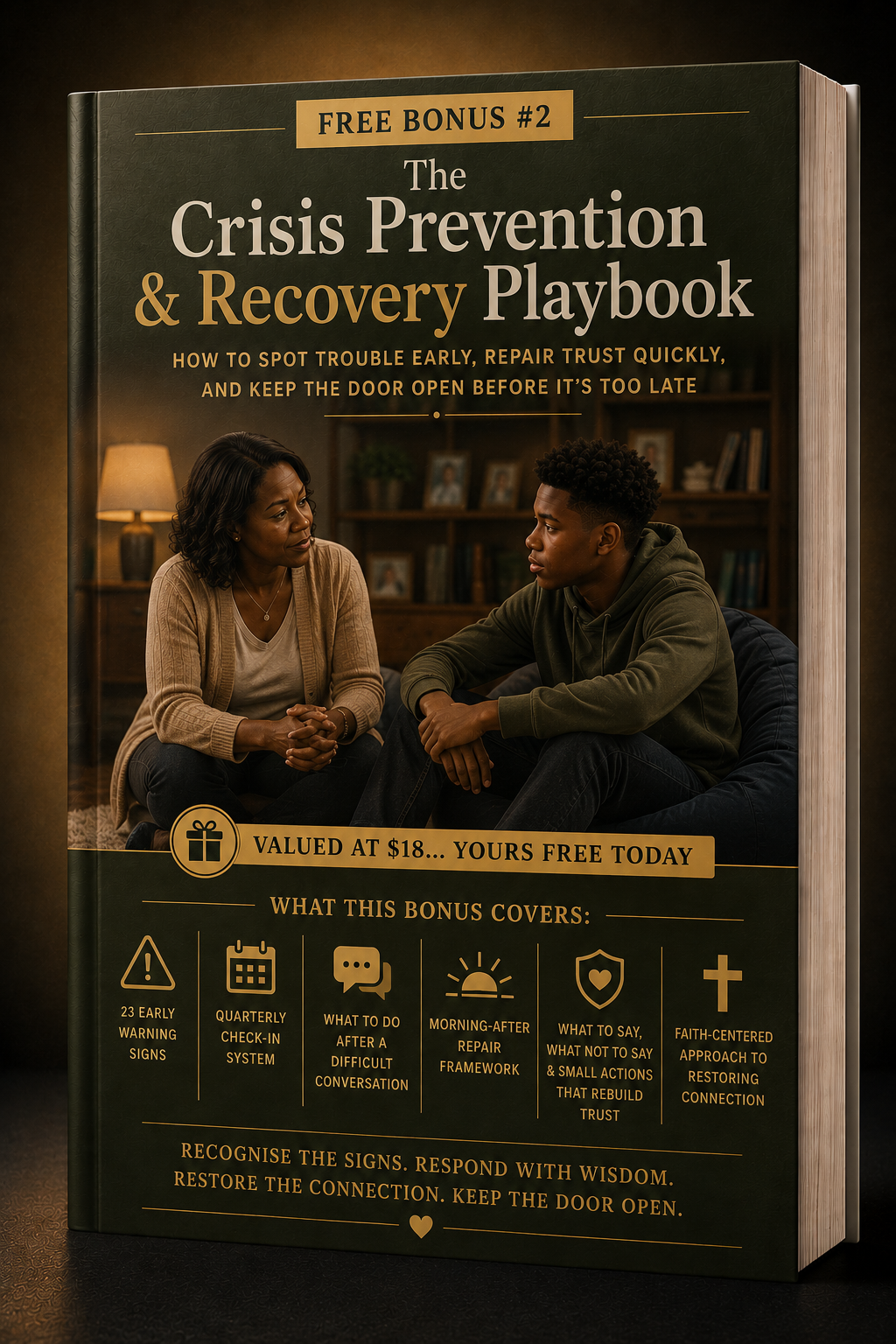 The Crisis Prevention and Recovery Playbook